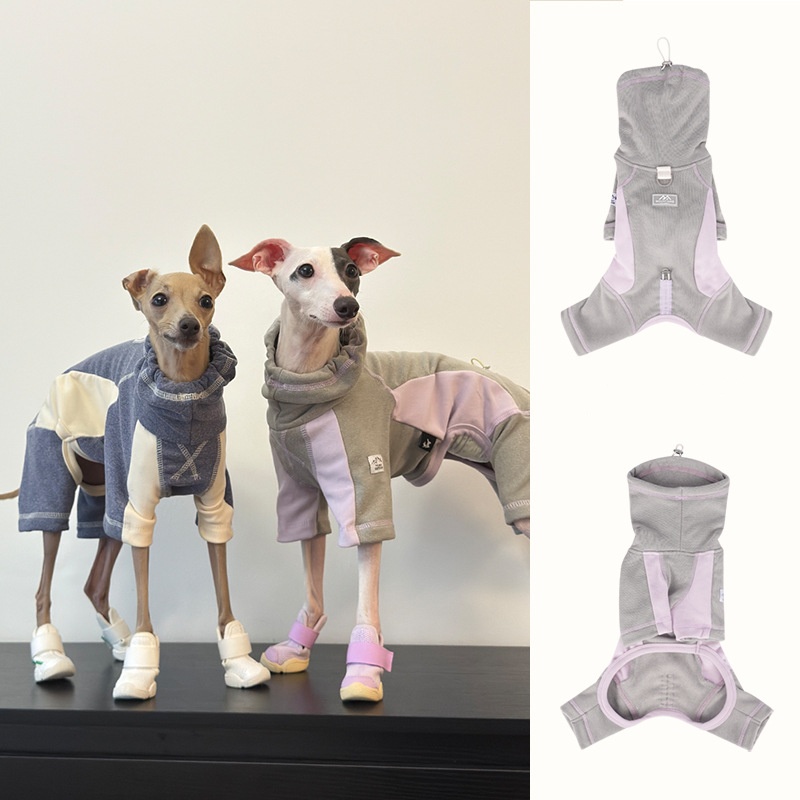 Winter Clothing Leg Warmers - Ropa para perros de otoño e