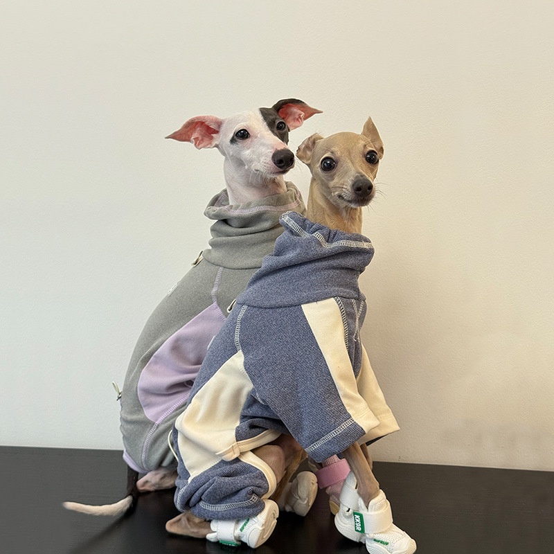 Ropa para perros de otoño e in - Winter Clothing Leg Warmers reseña y precio